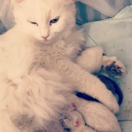 Vandrarhem Ciri Biri Bela Boutique