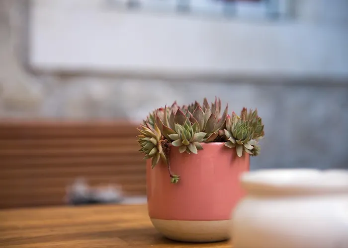 Ciri Biri Bela Boutique Hostal