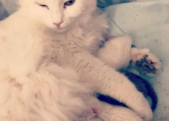 Auberge de jeunesse ćiri Biri Bela Boutique