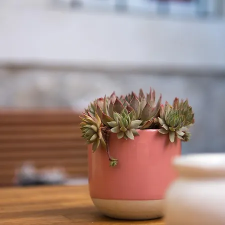 Ciri Biri Bela Boutique Hostel